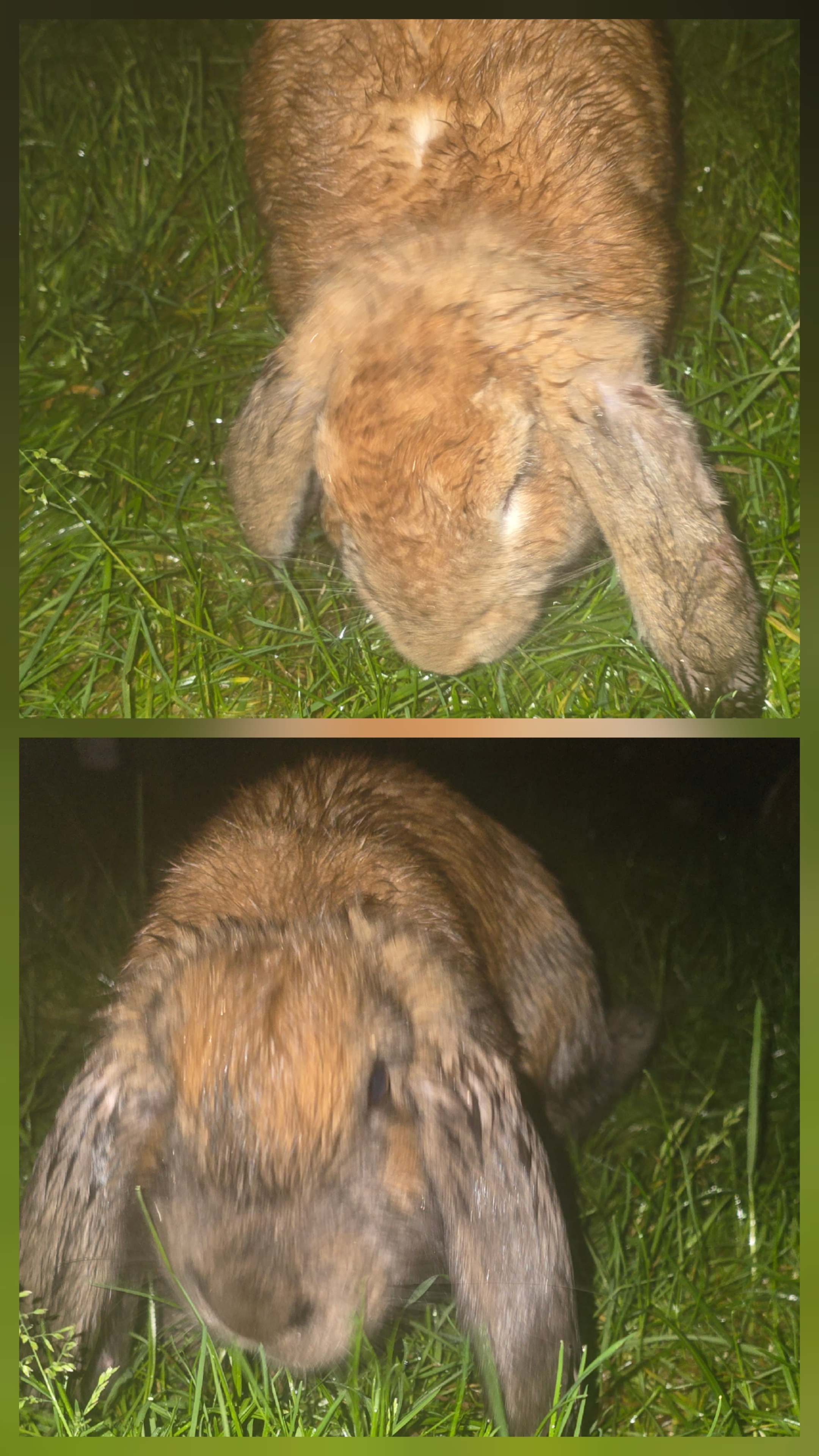 Søndag, regnvær og jobbe